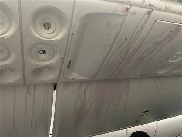 美联航一波音787客机空中严重颠簸:6人受重伤