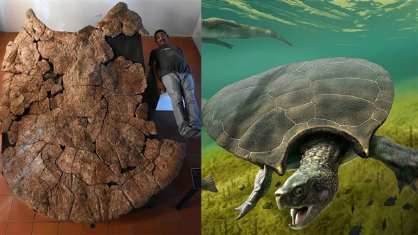 巨兽之地:地球史上最独特的生物群落 各种动物大到离谱