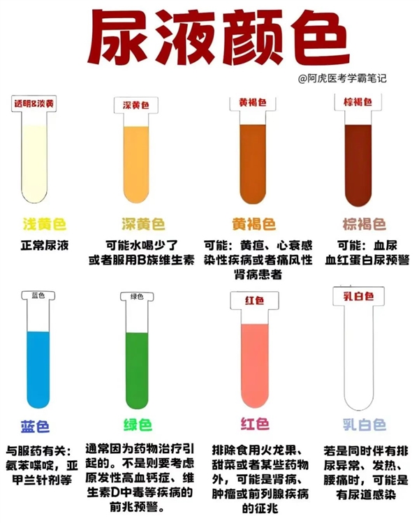 早晨第一泡尿 可能是身体在“喊救命”!这些信号千万小心