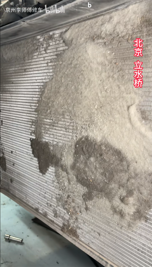 你的车可能真会被防虫网闷死！