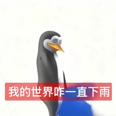 真的想问:下雨天的时候 鸟都在干什么呢