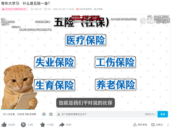 为什么每个人的一生 都会刷到一次大冰切片