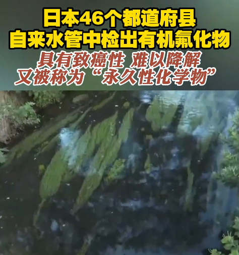 你身上的冲锋衣 可能正在毒害全人类