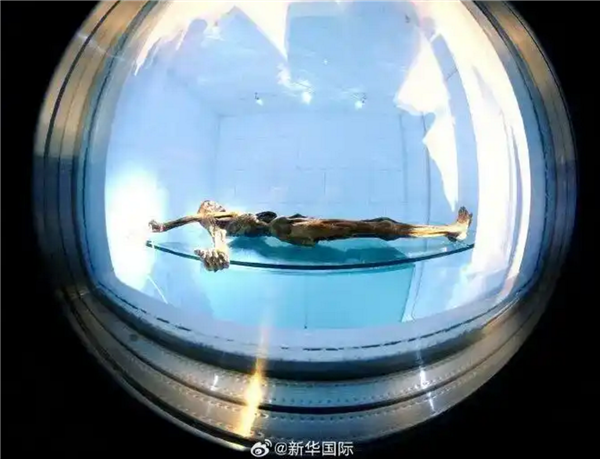 5300年历史“冰人”奥茨遗骸中微生物可能仍有活性:这研究细思极恐