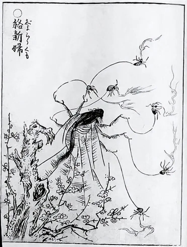 太猛了!云南男子野外生吃“花蜘蛛”:自称味道像蟹黄
