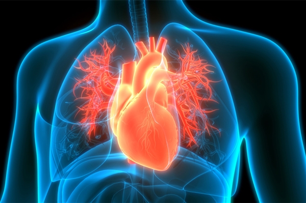 心源性猝死为什么盯上年轻人：这些高危因素你可能每天都在做