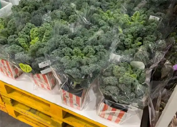 网红蔬菜价格大涨30倍 一经推出直接被抢空